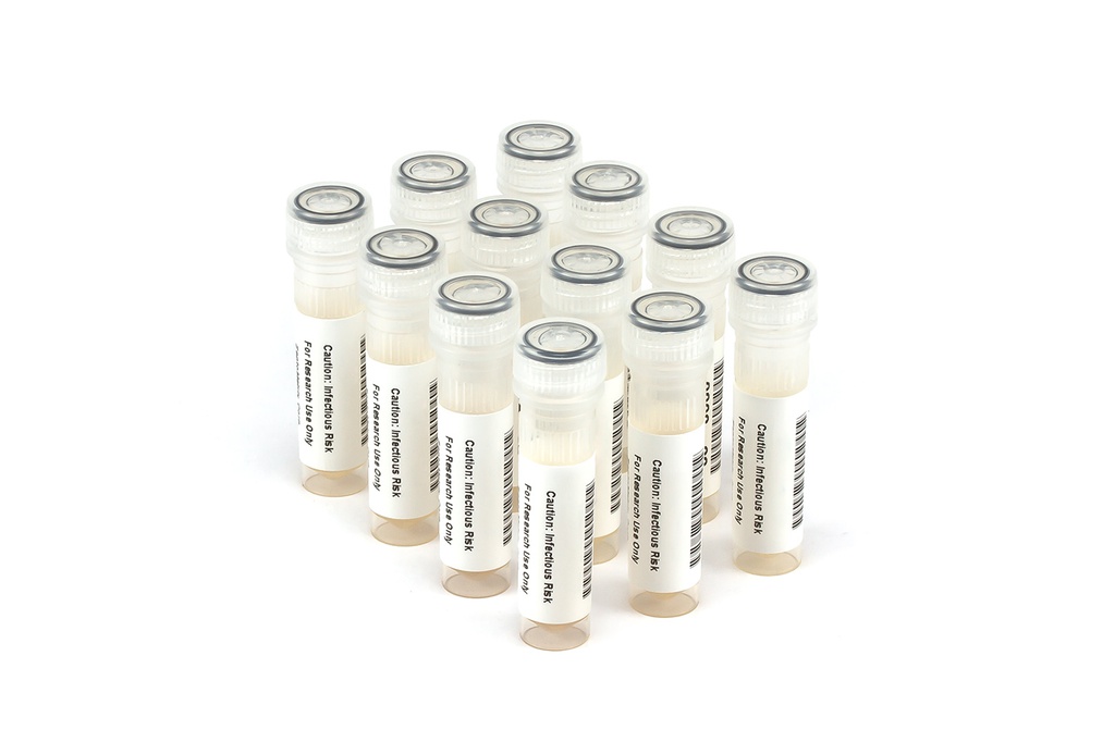 HCV10052 HCV PCR Seroconversion Panel Donor n. 67861 (12x 1 ml)