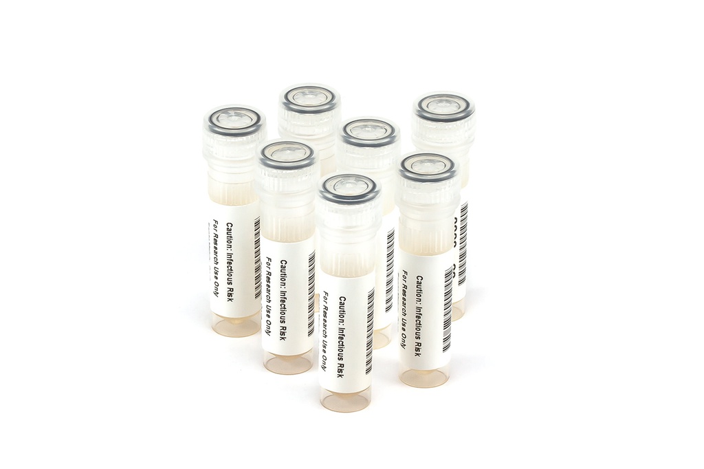 HIV9014 HIV Seroconversion Panel Donor n. 65522 (5x 1 ml)