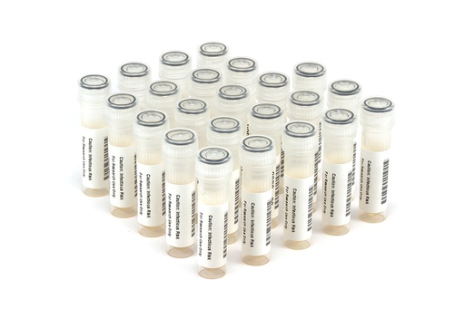 [HBV11009] HBV11009 HBV Seroconversion Panel Donor n. 67449 (23x 1 ml)