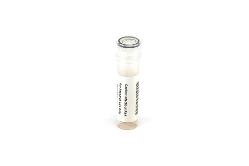 [PRODENV2-089] PRODENV2-089 PROtrol Dengue Virus Type 2 (Strain: New Guinea C)