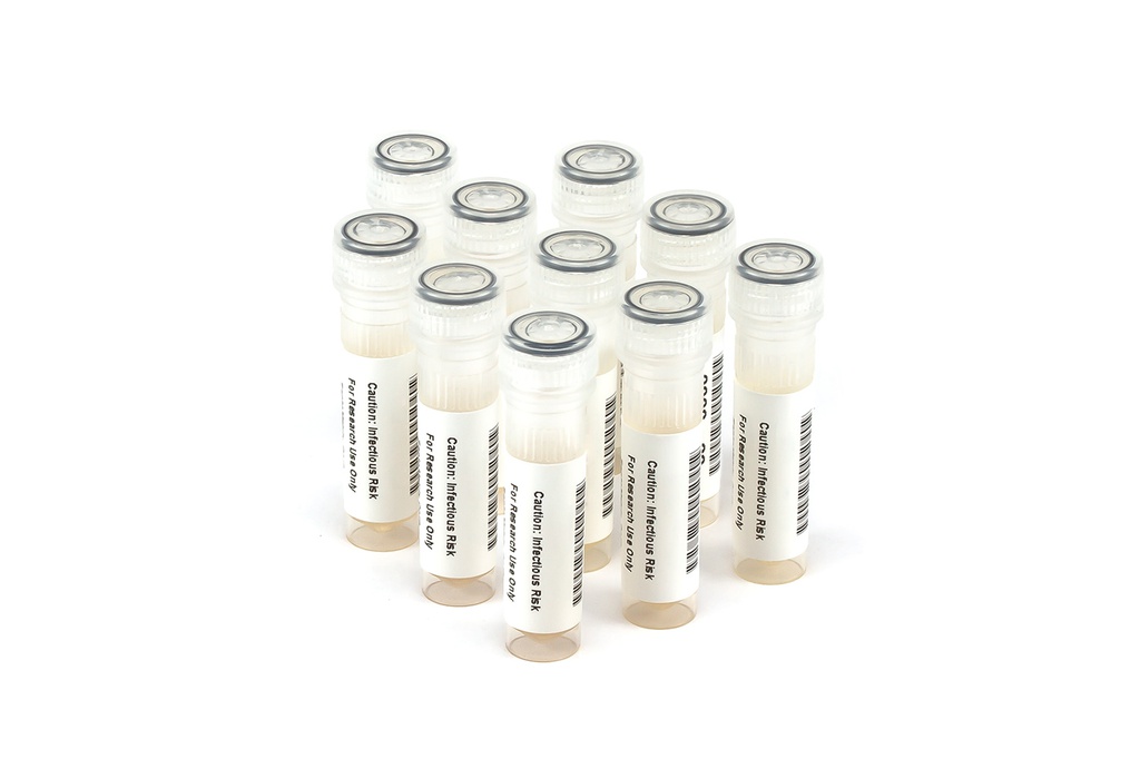 HCV10013 HCV Seroconversion Panel Donor n. 67356 (10x 1 ml)