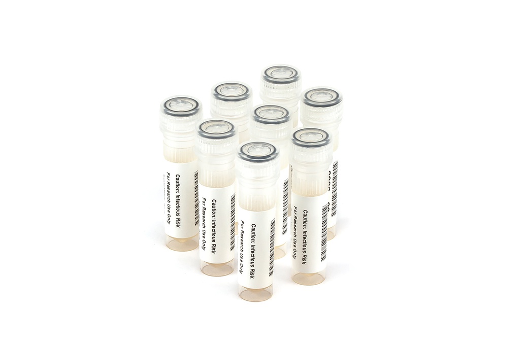 HCV10019 HCV Seroconversion Panel Donor n. 69142 (8x 1 ml)