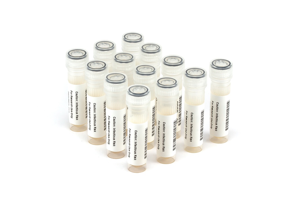 HCV10036 HCV PCR Seroconversion Panel Donor n. 68223 (13x 1 ml)