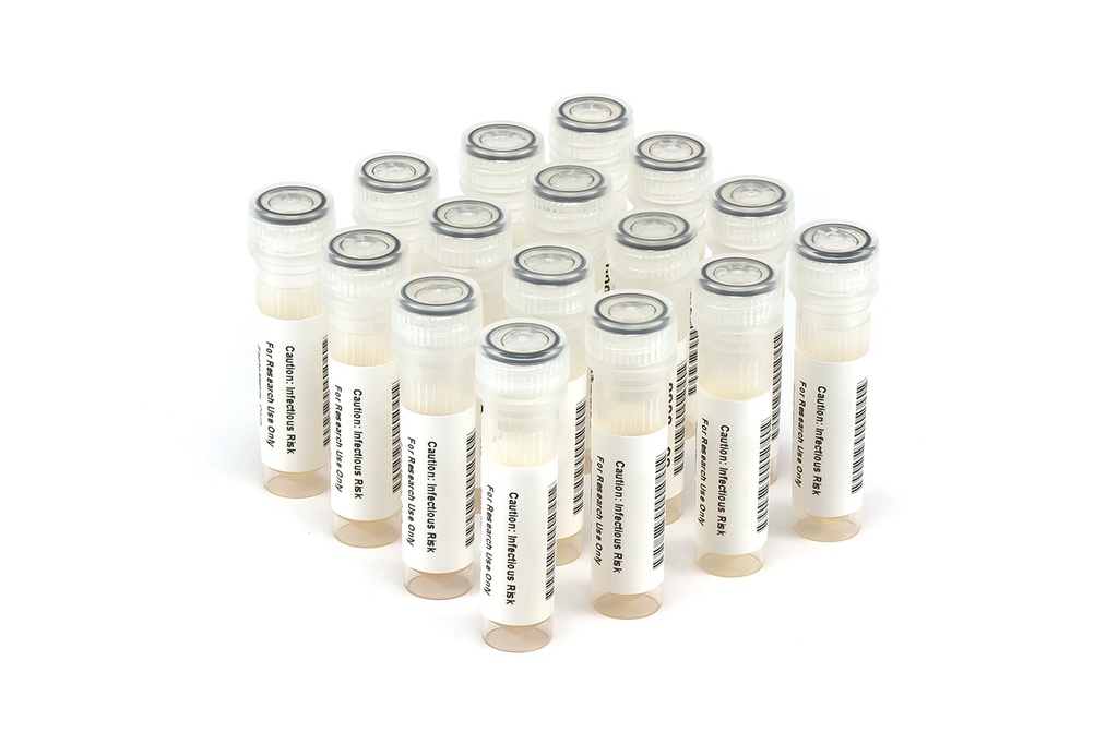 HIV9033 HIV Seroconversion Panel Donor n. 66686 (16x 1 ml)