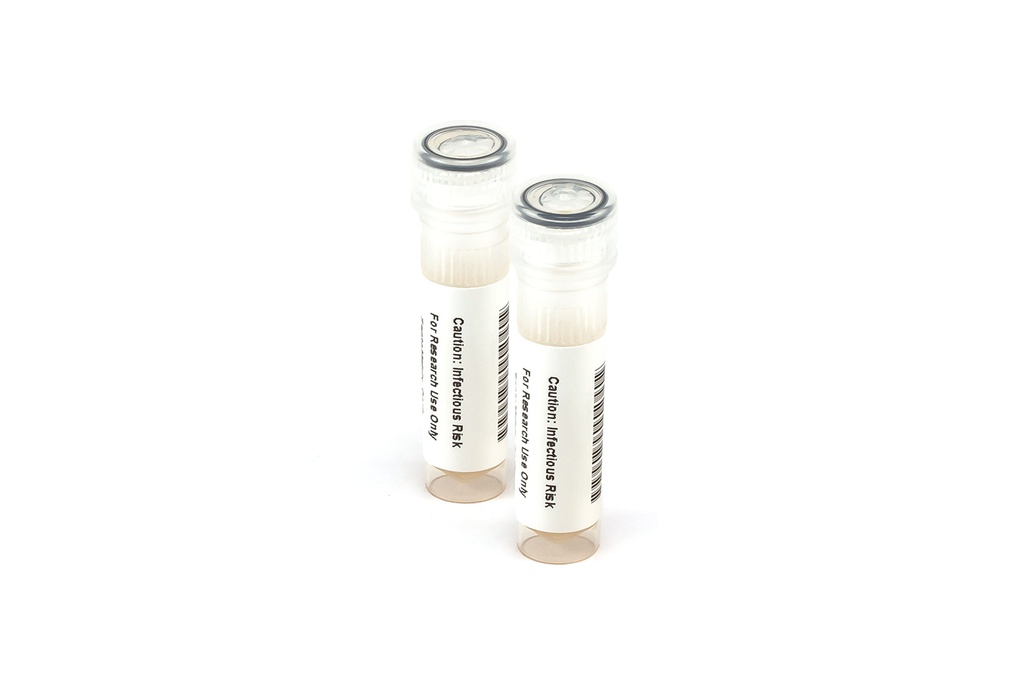 KZMC036 Rotavirus Rapid Test Control Pack