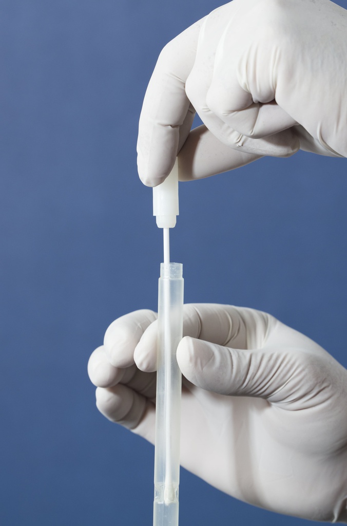 NATGAS-SW NATtrol Group A Streptococcus (GAS) Positive Control Swab