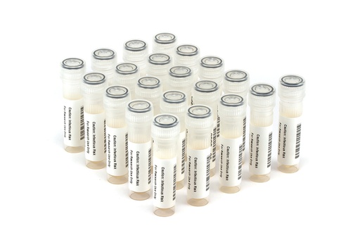 [NATFRVP-C] NATFRVP-C NATtrol Influenza/RSV Verification Panel