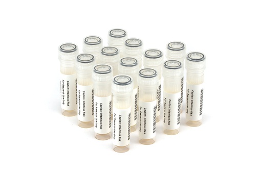 [EBV9097] EBV9097 EBV Seroconversion Panel Donor n. 283843421