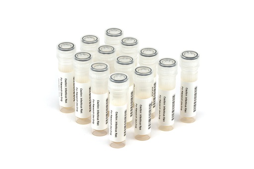 [HBV11052] HBV11052 HBV Seroconversion Panel Donor n. 72439 (13x 1 ml)