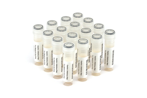 [HCV10017] HCV10017 HCV Seroconversion Panel Donor n. 65064 (16x 1 ml)