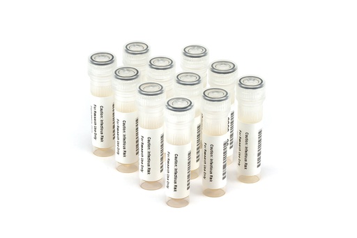 [HCV10025] HCV10025 HCV Seroconversion Panel Donor n. 66801 (11x 1 ml)