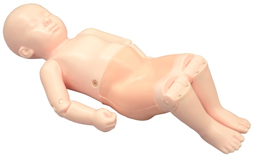 [US-13] US-13 Infant Hip Sonography Training Phantom